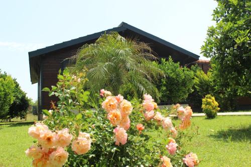 Cirali Villa | Çıralı Villa's