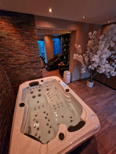 Gare House | Ô Bonsaï Spa