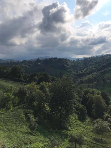 Pazar Villa | Özel Bahçeli Lüx Villa