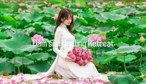 Thach That Resort | Đầm Sen Homestay Retreat