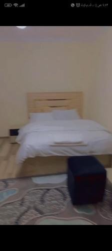 Sheikh Zayed City Apartment | الشيخ زايد