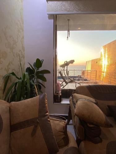 Haql Ski Chalet | شاليهات لودج