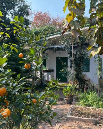 Wang Thong House | บ้านมะลิ