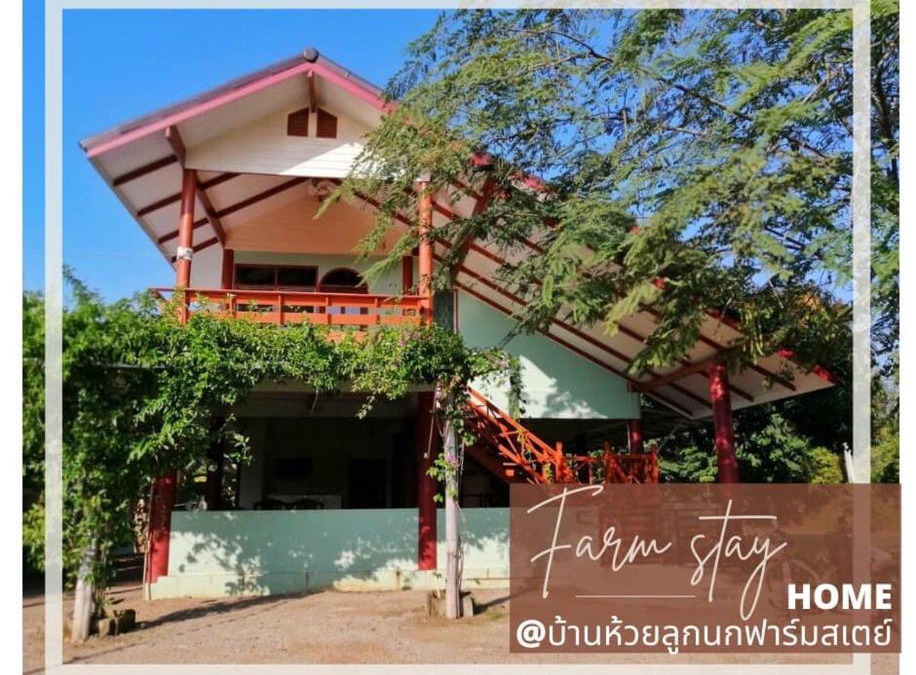 Ratchaburi House | บ้านห้วยลูกนกฟาร์มสเตย์ Banhuailuknok Farmstay