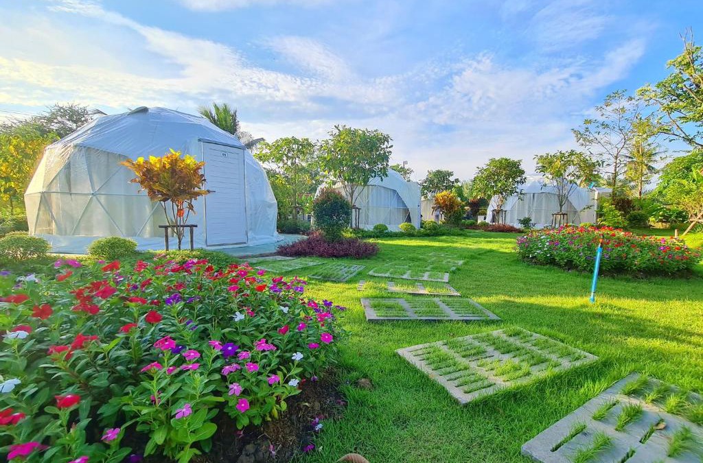 Sa Krathiam House | ปีกุนรีสอร์ท & Swimming pool (Pigoon Resort)