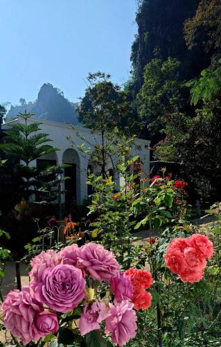 Chiang Dao House | วีรพัชนารา