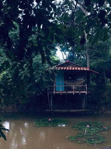 Chiang Kham House | สวนบ้านนอก SuanBaanNoak