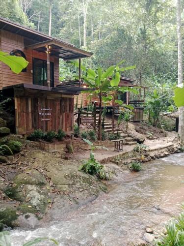 Mae On Cabin | สายน้ำและขุนเขาแม่กำปอง The River & Mountain maekampong