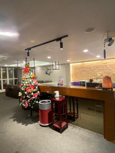 Yunlin Hotel | 曖月商旅