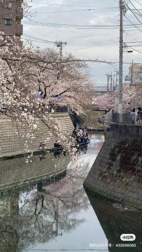 Minami Ward Villa | 桜川別莊
