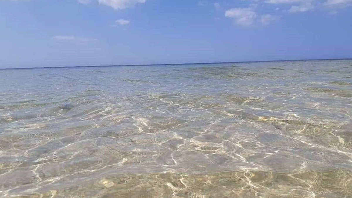 San Crisanto Apartment | 1 and 2 separate bedrooms for rent