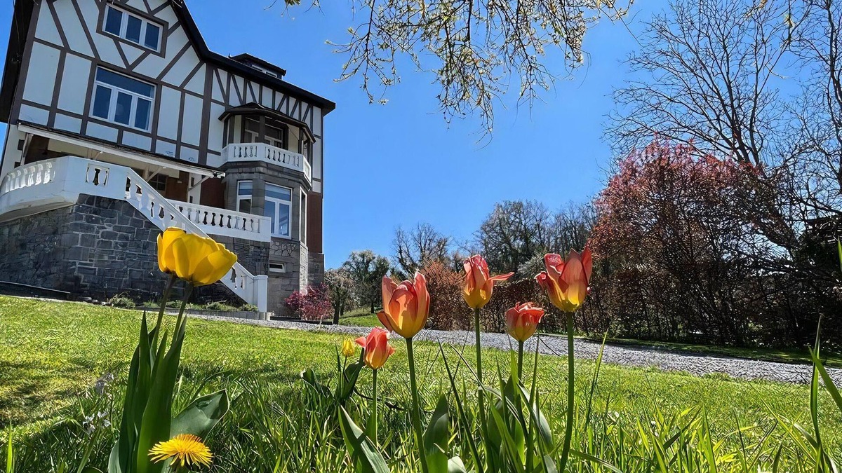 Han-sur-Lesse Villa | 1 bedroom accommodation in Han sur Lesse