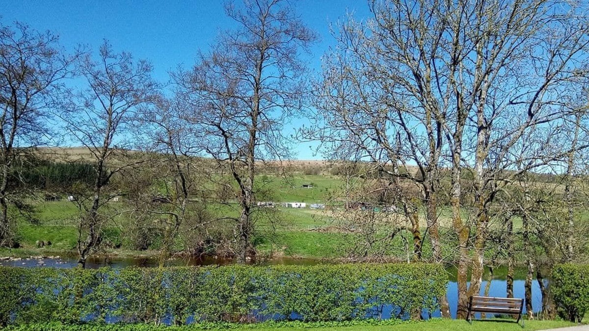 Newcastleton Cottage | 1 bedroom accommodation in Newcastleton, Scottish Borders