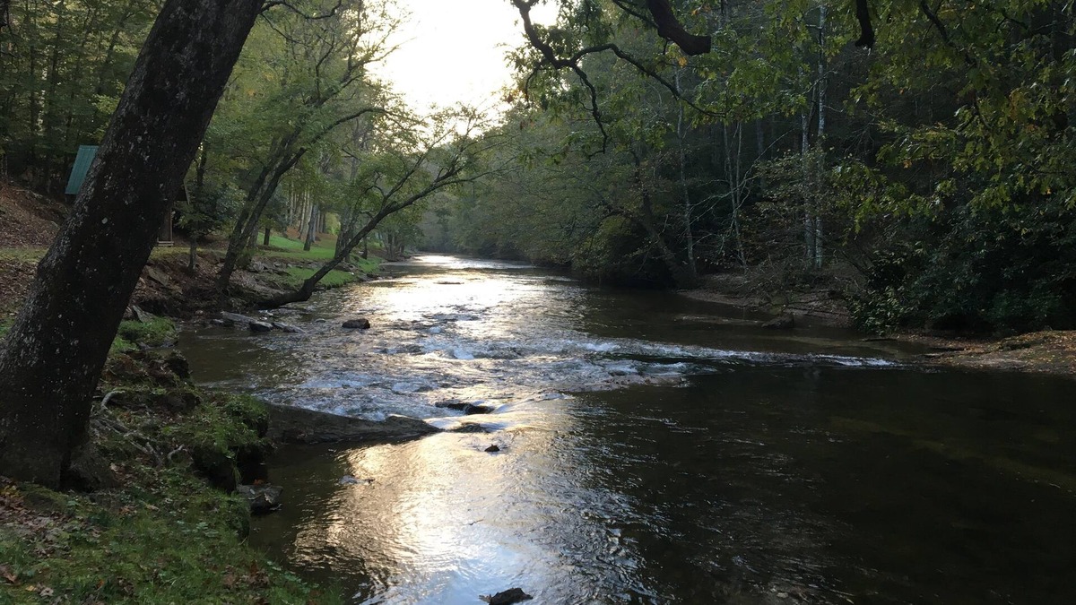 Sparta Cabin | 1-bedroom cabin just 23 minutes from Stone Mountain State Park