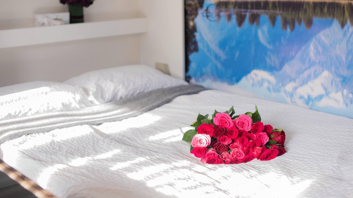 Swanley House | 1 Bedroom Guest House with Steam Room and Sauna
