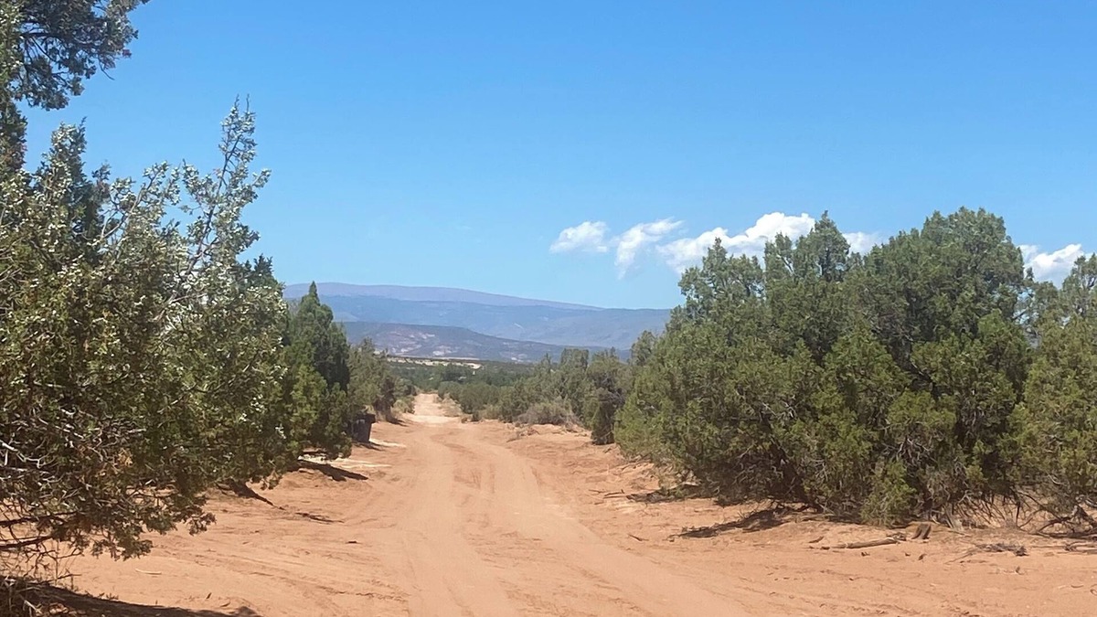 Roosevelt House | 1-bedroom RV in amazing Roosevelt with WiFi, AC can sleep 4 adults and one child