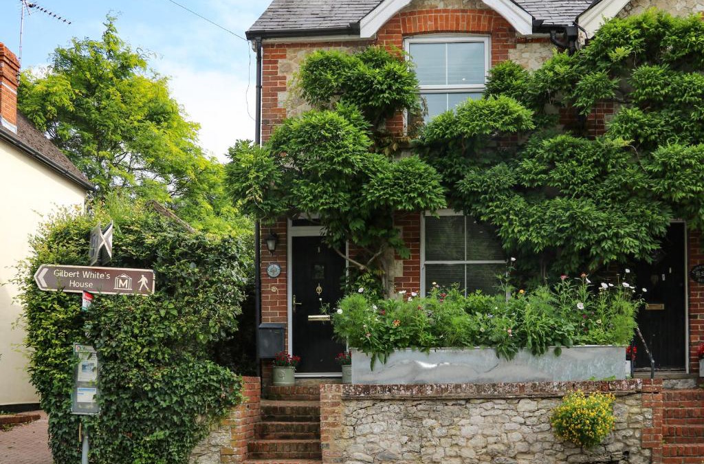 Selborne House | 1 Foresters Rest