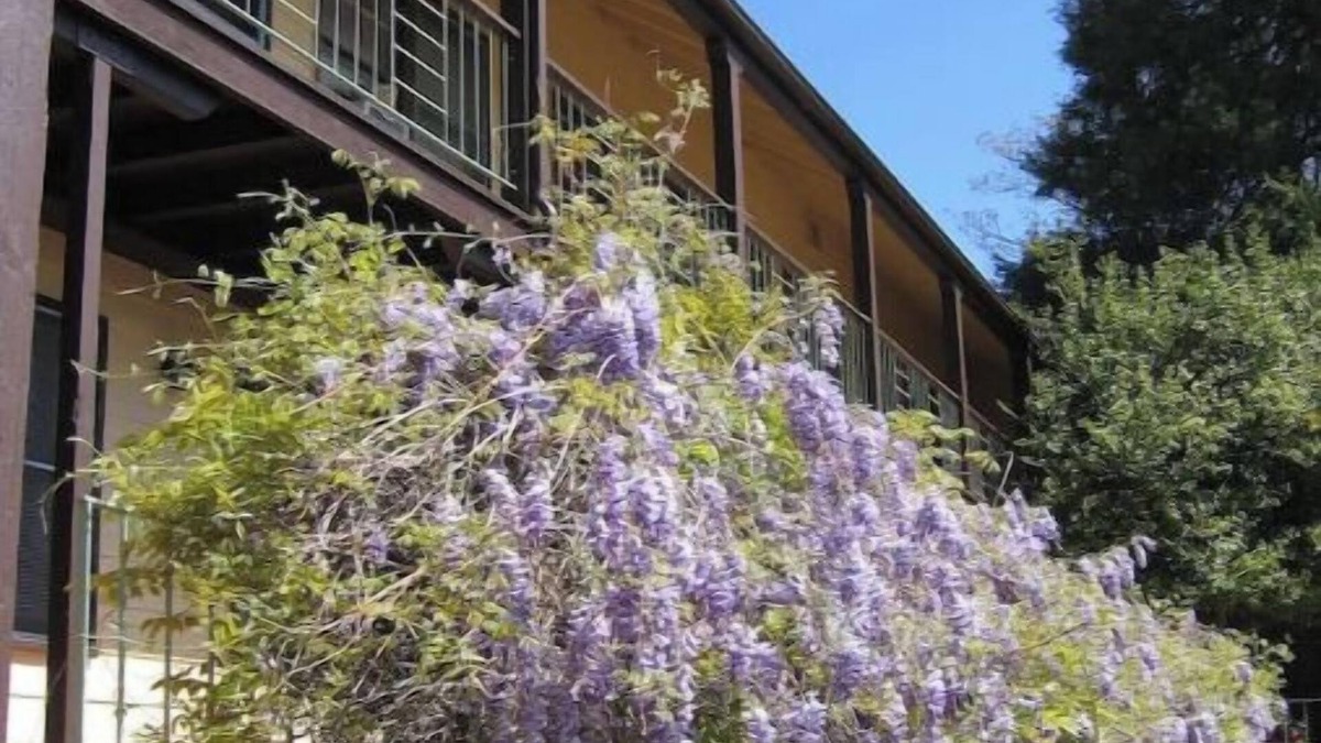 Mariposa Apartment | #10 1938 Historic Downtown Apt - King Bed- Kitchennn