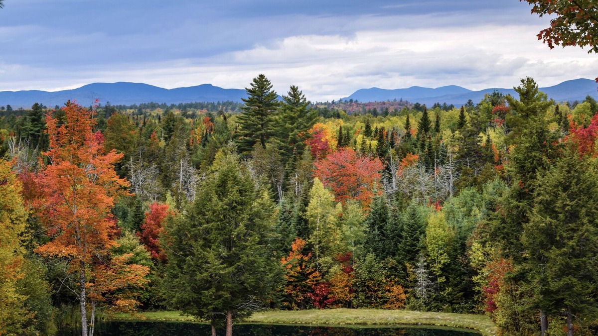 Brownville Cabin | 10 Bedroom Lodge Retreat on Deer Farm