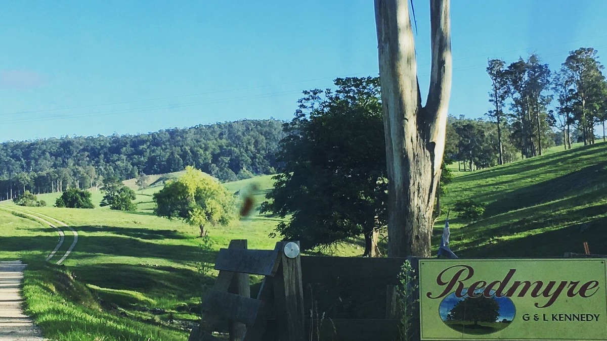 Bald Hills Other | 10 mins to Merimbula modern farm house ,quiet, close to village and beaches