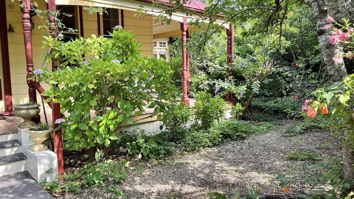 Leura House | 10 mins Walk Leura-Christmas Dates Now Avail-Quiet St Sth Leura