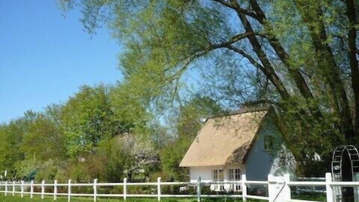 Klein Bollhagen House | 10 minutes from the beach, thatched house with spa: sauna & whirlpool