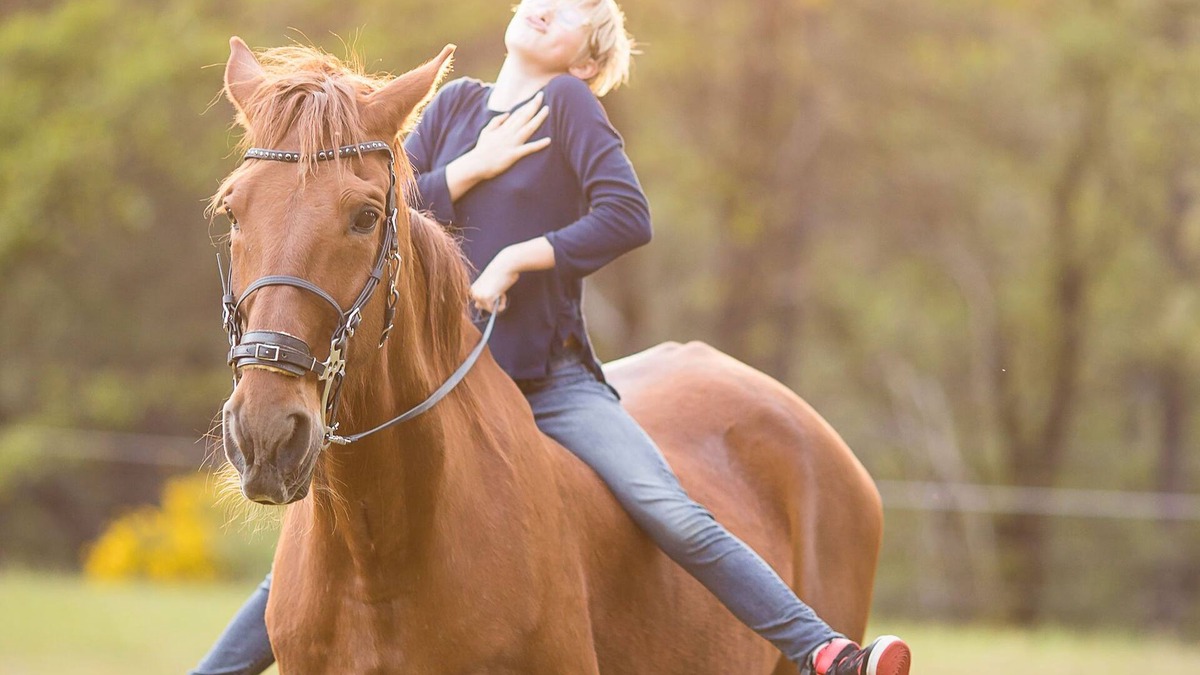 Nevada City House | 100 acres of Private Forest & Creek Waterfalls, 15-Miles of Trails