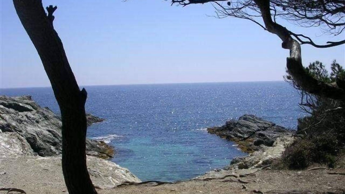 Le Brusc Cottage | 150 meters from the sea, T3 65m², charm, calm, garden, ideal location.