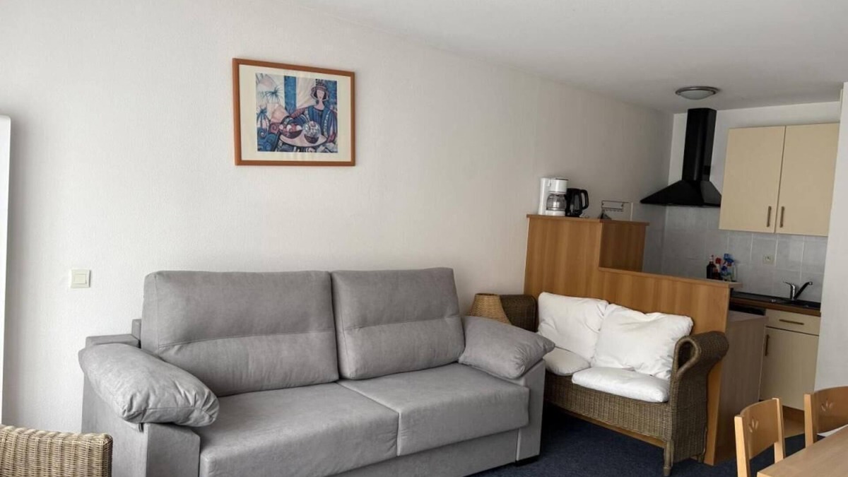 Eaux-Bonnes Apartment | 150m from ski slopes, 3rd floor, view ski slopes, fitness, swimming pool, sauna, tv, ski locker