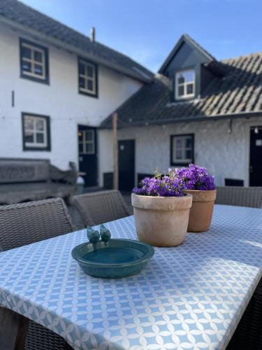 Ubachsberg House | 17 4p Historical Cottage near Valkenburg