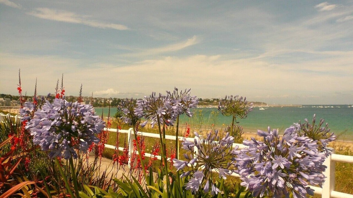 Landebia House | 170m², quiet, renovated in 2009 - St Cast beach 20mn away - INTERNET /AIR CONDITIONING