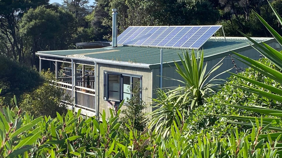 Tryphena House | 175° East - Tree House