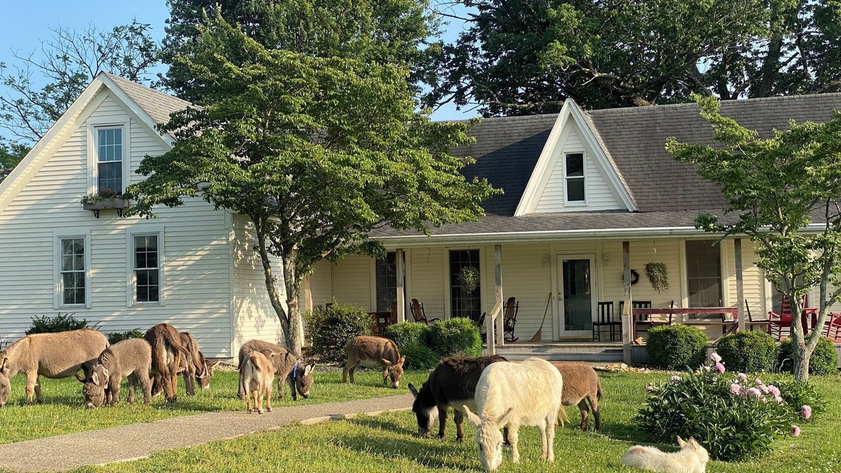 Heltonville Other | 1884 Farmhouse at Donkeytown Designed for large get togethers!