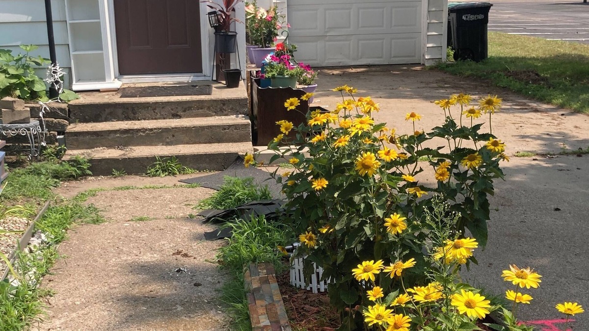 Little Falls House | 1888 Gem in Original L.Falls- 3BR,1BA Cozy Modern Vibes, WiFi, Pet Friendly Yard