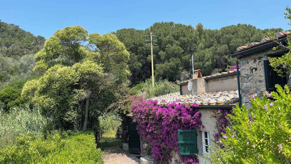 Magazzini House | 18th Century Water Mill With Private Garden Torrent