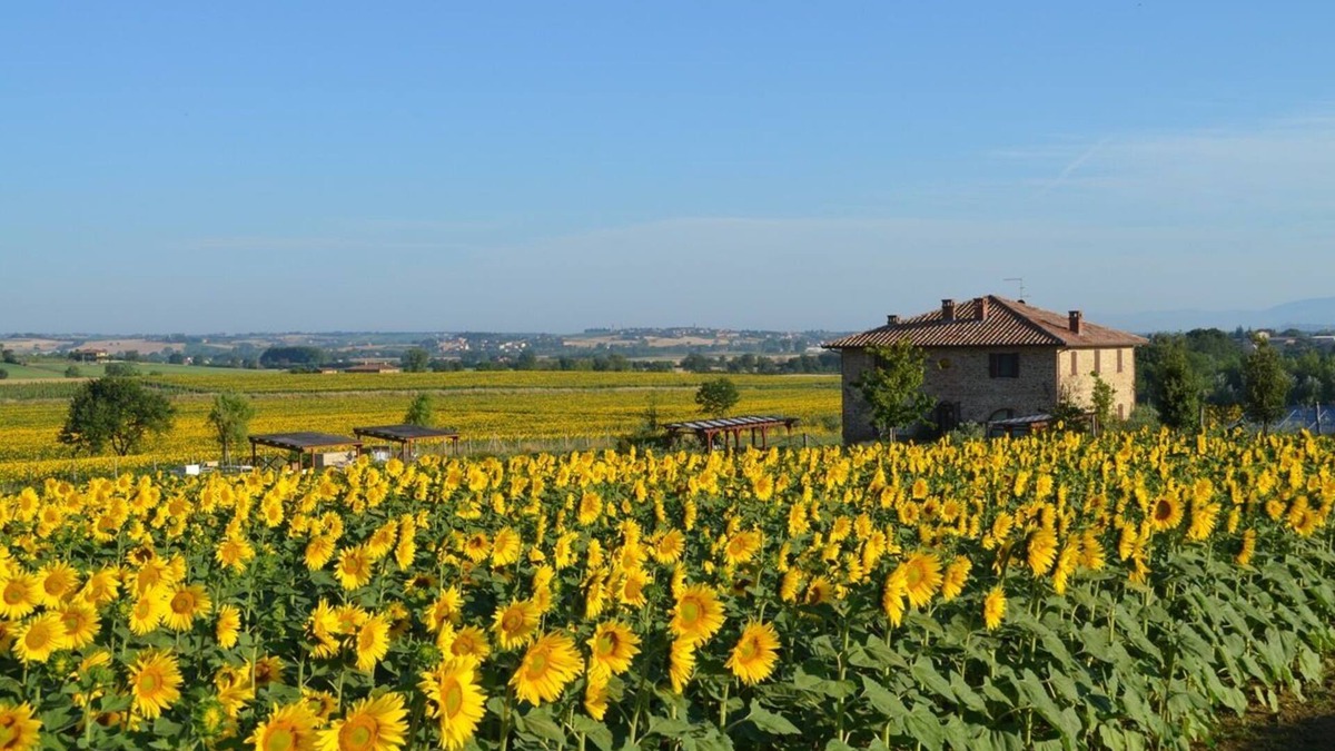 Panicale Apartment | 19th century stone villa with private pool and garden/6 sleeps/pet friendly