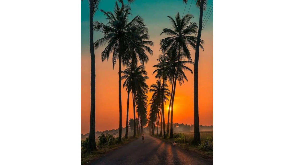 Salvador do Mundo Apartment | 1BHK Casa Brooklyn Charm of Portuguese Heritage