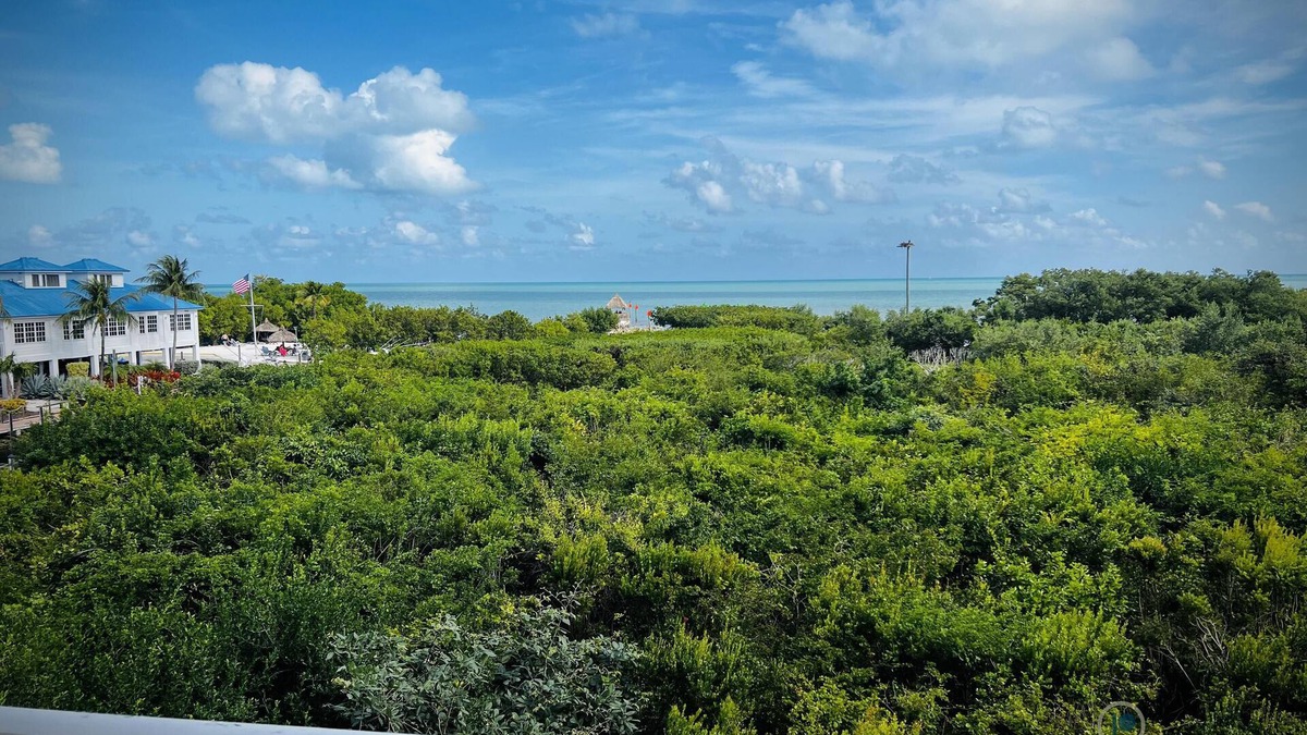 Tavernier Condo | 1BR w/Pool, Beach, Near Marine & Bird Sanctuaries