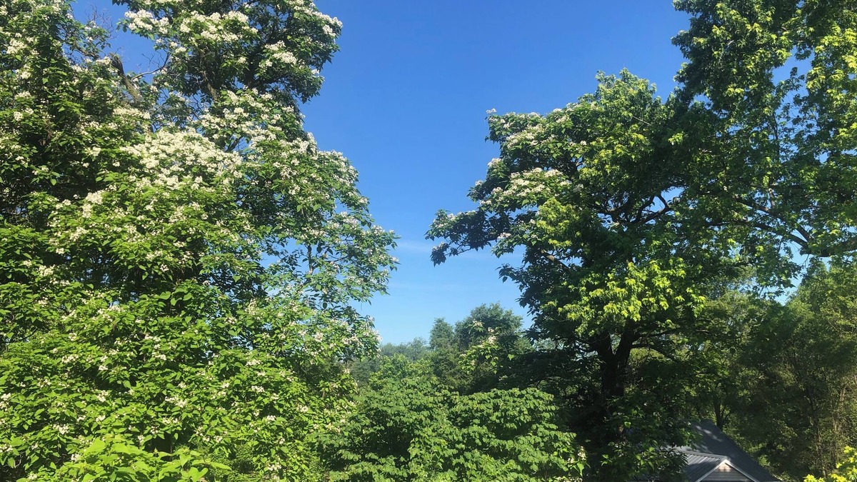 Des Moines Other | 2 Bdrm Urban Acreage just outside Des Moines city limits 10min from downtown.