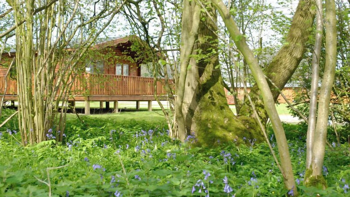 Winchester Cabin | 2 bedroom, 5 star, award winning Scandinavian Lodge (sleeps 4)