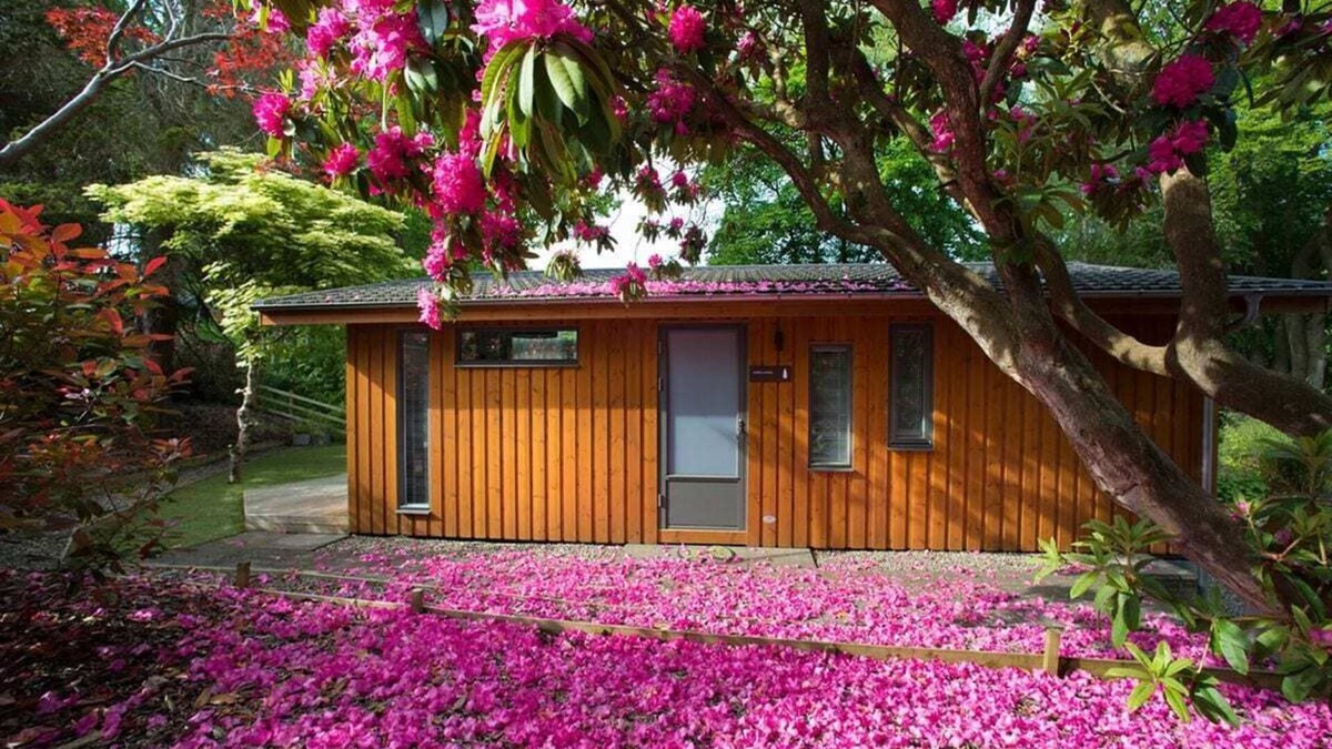 Birnam Cabin | 2 bedroom accommodation in Birnam by Dunkeld