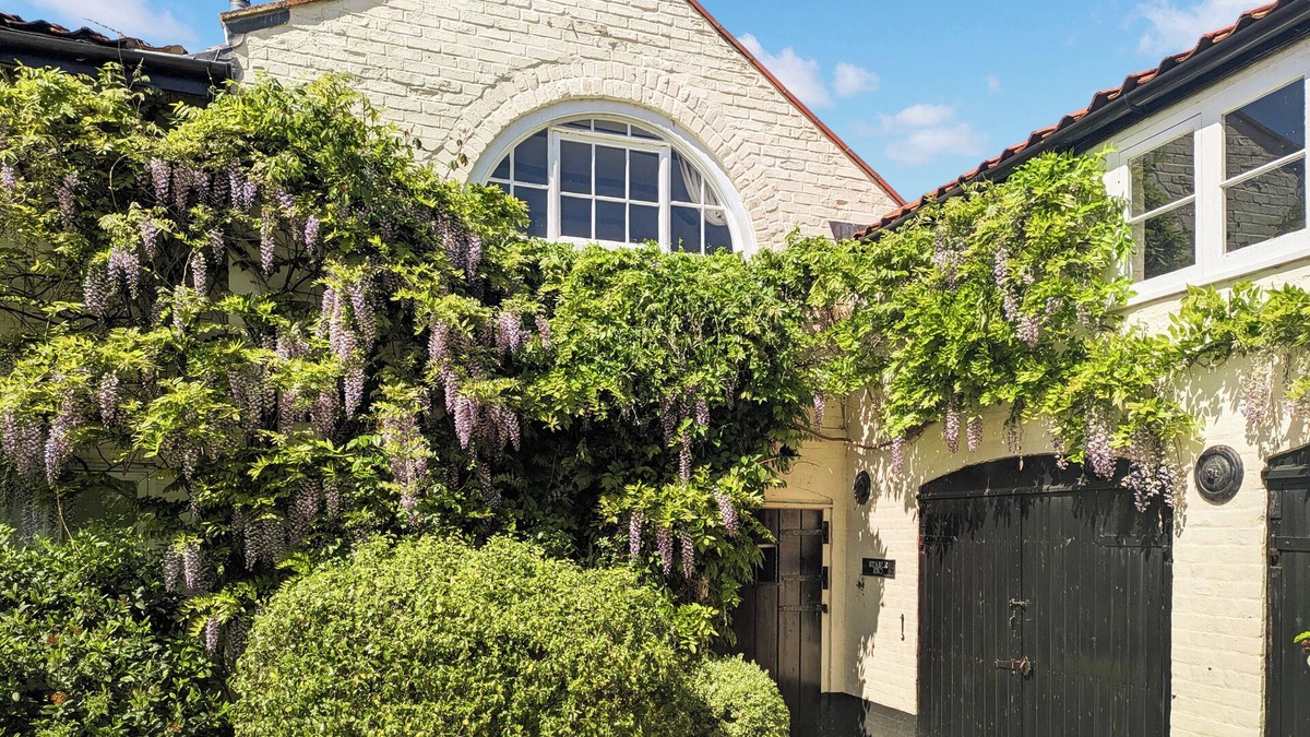 Halesworth Cottage | 2 bedroom accommodation in Halesworth