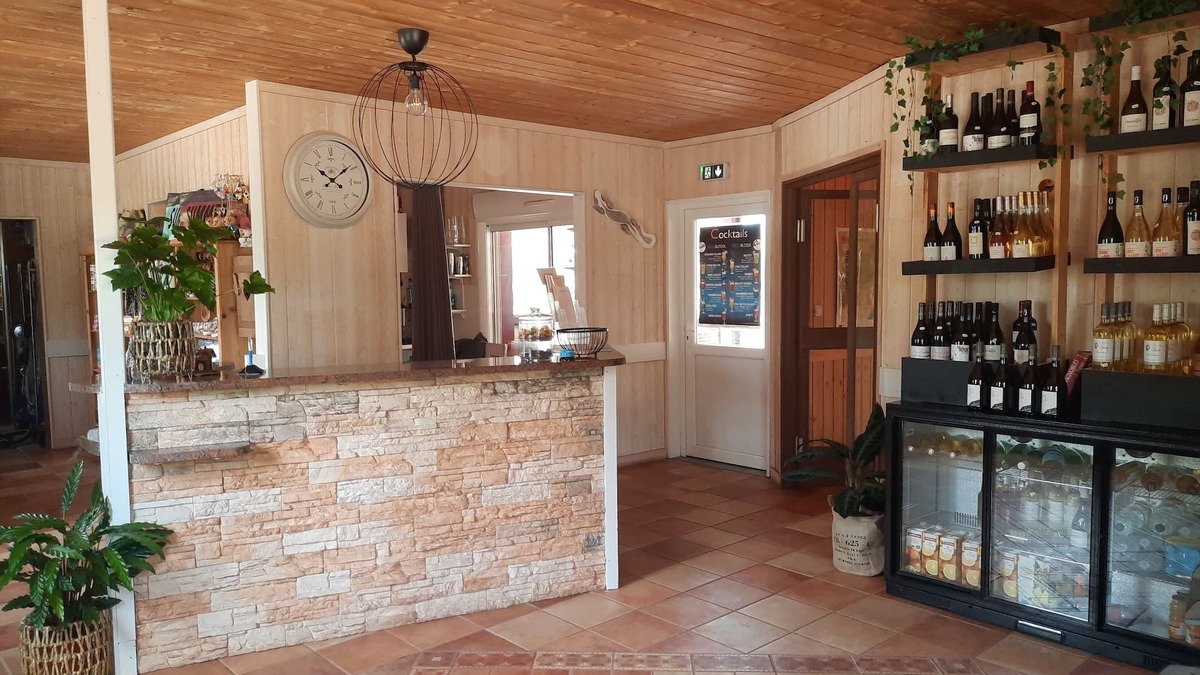 Le Bosc Ski Chalet | 2-bedroom air-conditioned chalet - 35m² - France
