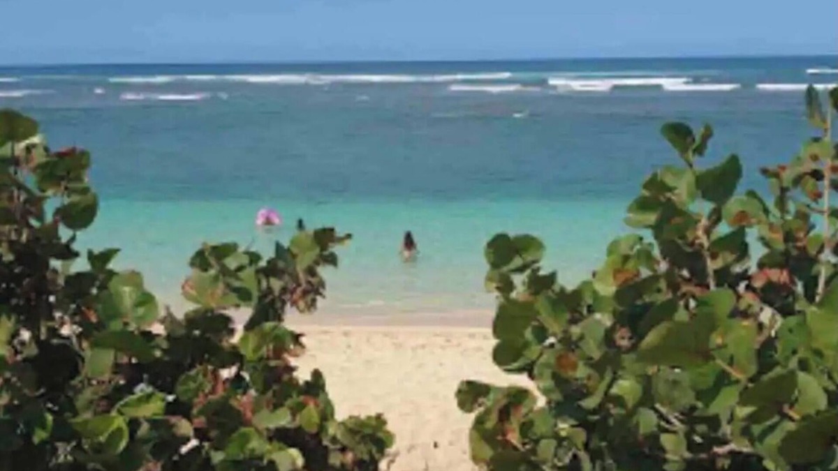 Mokuleia Condo | 2-bedroom condo steps to the beach!🏝️
