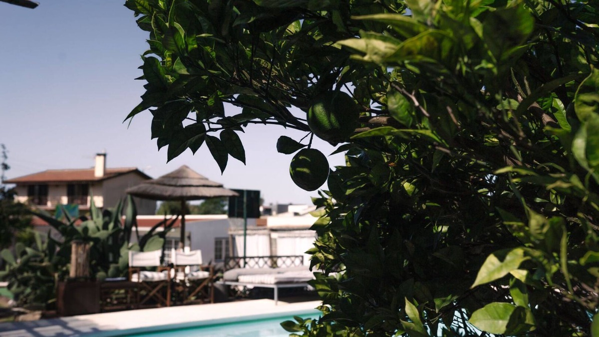 Assafora Apartment | 2 Bedroom Traditional Apartment, Garden View