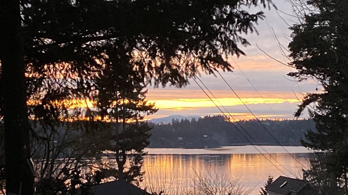 Olympia House | 2-bedroom vacation home just 9 minutes to Evergreen State College