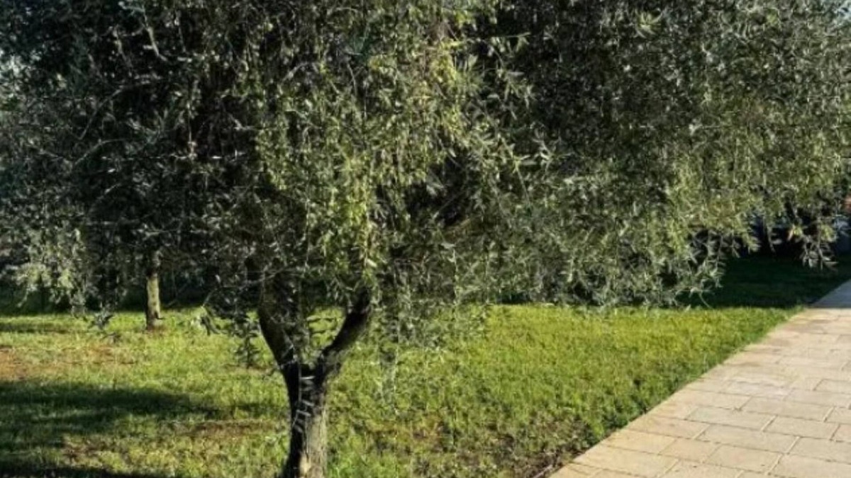 Province of Caserta House | 2 BR House/Balcony - Tenuta Il Poggio Teano