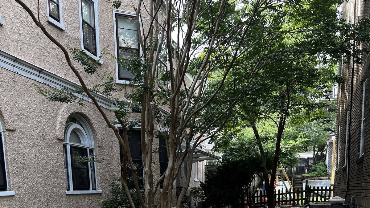 Forest Hills Apartment | 2 BRM Near Redline Metro and Zoo