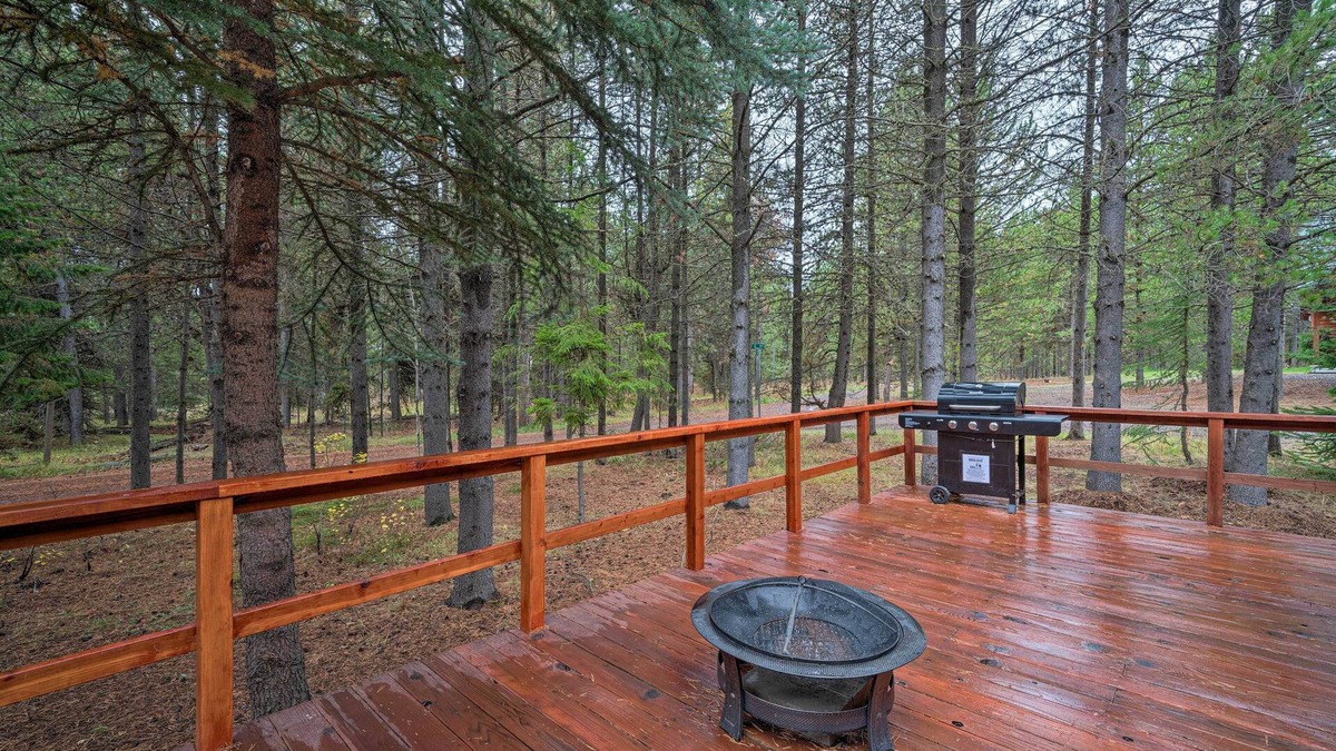 Island Park Cottage | 2 Cozy Island Park Cabins w/Near the Lake!