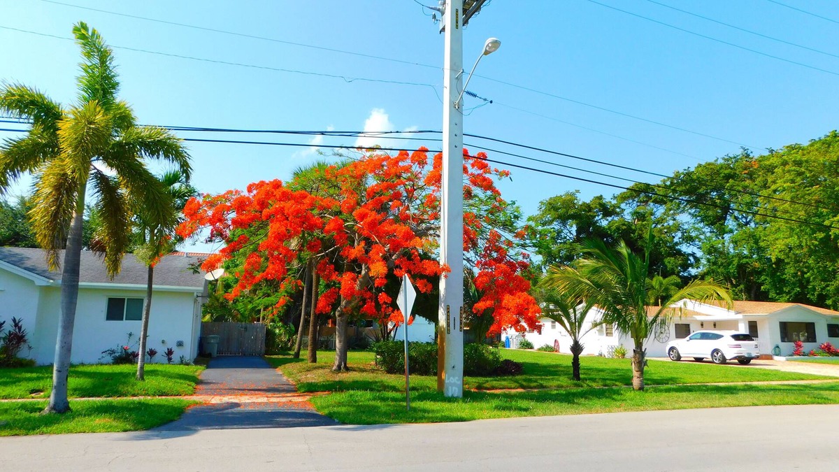 Pompano Beach House | 2 HOMES Side By Side, 8Bedroom,6.5 Bath,14Bed, Huge! Sand Volleyball, Crew, Team